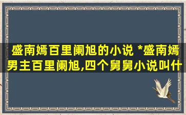 盛南嫣百里阑旭的小说 女主盛南嫣男主百里阑旭,四个舅舅小说叫什么